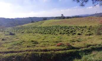 Imagem 3: Lotes de 500m² Terreno / lote com venda por R$60.000