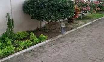 Imagem 5: Apartamento para aluguel possui 69 metros quadrados com 3 quartos