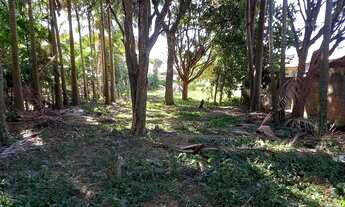 Imagem 7: FLORIANóPOLIS - Terreno Padrão - Ribeirao Da Ilha