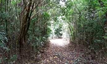 Imagem 2: Terreno em Campo Alegre 30.546,90 m²