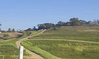 Imagem 2: Lotes de 600m² Terreno / lote com venda por R$45.000