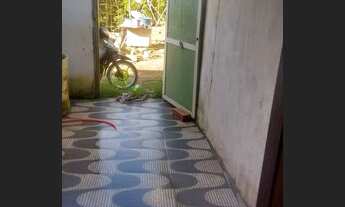 Imagem 3: Vendo kitnet Casa com 1 dormitório