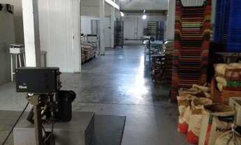 Imagem 5: Pavilhão 550 mts2