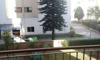 Imagem 7: APARTAMENTO - VILA BUTANTÃ - SP