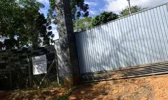 Imagem 6: LP- Melhor terreno no interior