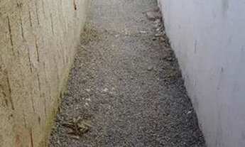 Imagem 6: Casa para alugar na avenida João Gualberto