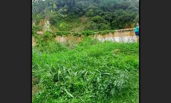 Imagem 3: Terreno próximo ao geneciano