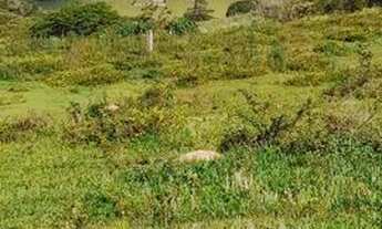 Imagem 2: Terrenos para sua chácara a partir de 1000m²