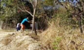 Imagem: Lotes em Caldas Novas