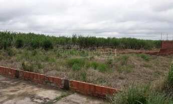 Imagem: Terreno Padrão em Ibaté