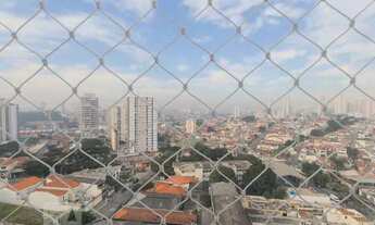 Imagem 7: Apartamento à Venda - Ipiranga, 3 Quartos, 130 m2