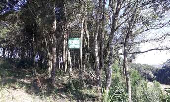 Imagem 7: Área na Colonia Campina em Campo Largo