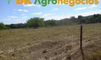 Imagem 2: Oportunidade: Fazenda de 38 Alqueires - Monte Santo - TO