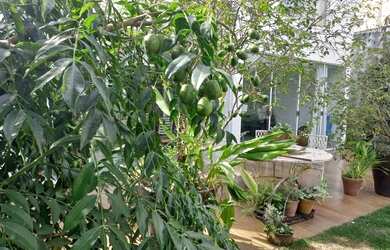 Imagem 6: Sobrado para venda com 324 metros quadrados com 4 quartos em Santa Genoveva - Goiânia - GO