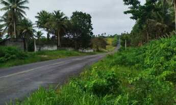 Imagem 3: Alugo 2 casa no conde Linha verde (Em sítio