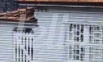 Imagem 3: Terreno null quartos à venda no(a) Vila Regente Feijó