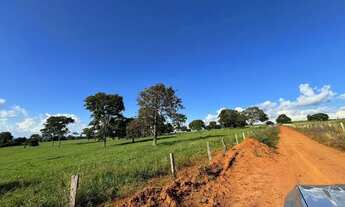 Imagem 3: Fazenda a venda em Trindade - Goiás!!!