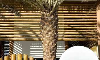 Imagem 7: Imóvel para venda com 535 metros quadrados com 6 quartos em Canto da Barra - Fortim - CE