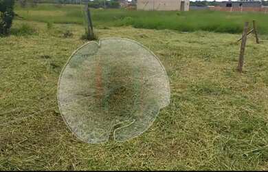 Imagem 5: Terreno na praia ? R$35.000. Vendo ou troca negociável