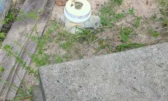 Imagem 5: Imóvel para venda possui 322000 metros quadrados em Zona Rural - Conde - BA