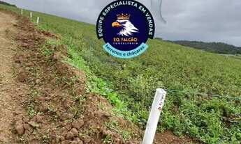 Imagem 5: Terrenos amplos e cheios de natureza!