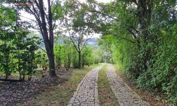 Imagem 2: Chácara Formada à Venda em Condomínio Rural