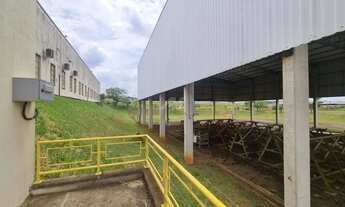 Imagem 7: Galpão - Terminal Intermodal de Cargas (TIC) - Campinas