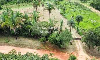 Imagem 6: Chácara Paradisíaca: 7 Hectares, Rio Canjira, Pomar Irrigado e Energia