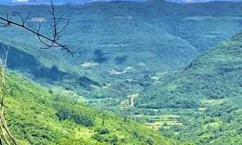 Imagem 3: Sítio / Chácara para Venda em Nova Petrópolis, Linha Pirajá Baixa