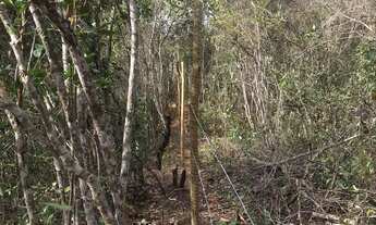 Imagem 4: Vale do Capão - Terreno