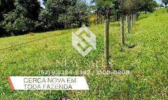 Imagem 7: Chacara` de 3 alqueires 20 litros anicuns goias