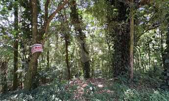 Imagem 6: Terreno à venda em Roseira - SP