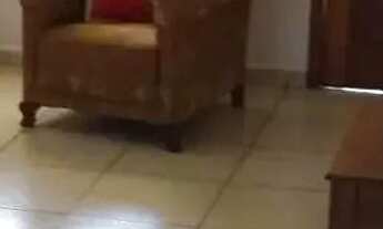 Imagem 4: Casa 02 dormitórios, no bairro Parque Ipiranga, em Gravataí, RS