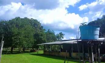 Imagem: Sítio/Terreno/AM 240/Estrada de Balbina