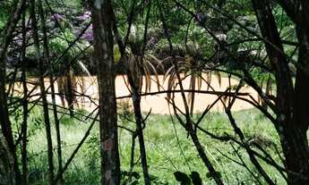 Imagem: Casa de condomínio para venda tem 3710