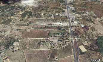 Imagem: Aluga-se Lotes Industriais - CIS-Leste