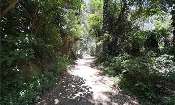 Imagem: Terreno à venda em Roseira - SP