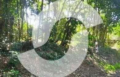 Imagem 9: Terreno para venda com 775 metros quadrados em Mata Paca - Niterói - RJ