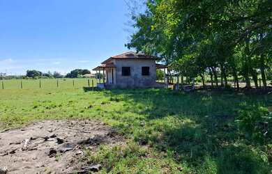 Imagem 6: GRUSSAÍ - Sítio na BR-356 - Curva de Grussaí