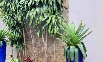 Imagem 2: Sobrado com 4 quartos à venda ou para locação em Alto De Pinheiros - SP