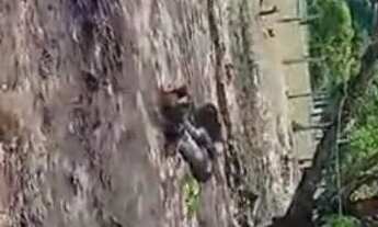 Imagem 6: Vende-se chácara c/ banho Próximo a Vila Recrear 40km de Boa Vista RR