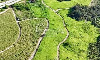 Imagem 5: Fazenda em Pilar- AL com 26 hectares na zona da Mata