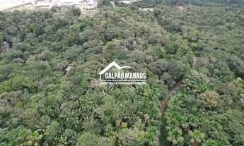 Imagem 3: Galpão Manaus - 33.200 m² - AM 010 - TRV286