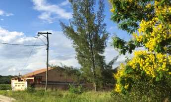 Imagem 4: Terreno 12x30 em Iguaba com acesso asfaltado