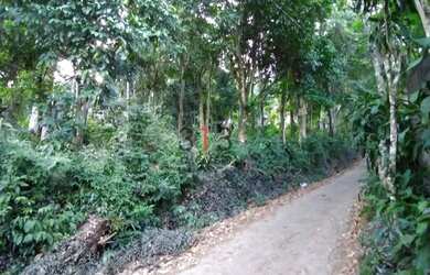 Imagem 4: Excelente terreno para venda em Vargem Grande com 3200m2 condominio Mae Terra com casas de