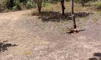 Imagem 5: Vendo um sítio com casinha simples