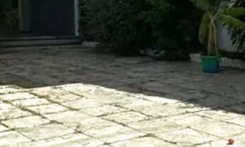 Imagem 3: Alugo casa ampla para finalidade comercial!