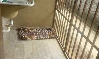 Imagem 7: ND vendo linda casa no icui