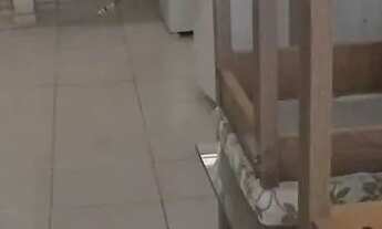 Imagem 7: Vende - se Casa com 2 dormitórios