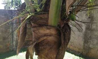 Imagem 6: Casa com 3 dormitórios à venda, 136 m² por R$ 450.000,00 - Loteamento Bela Vista - Maringá